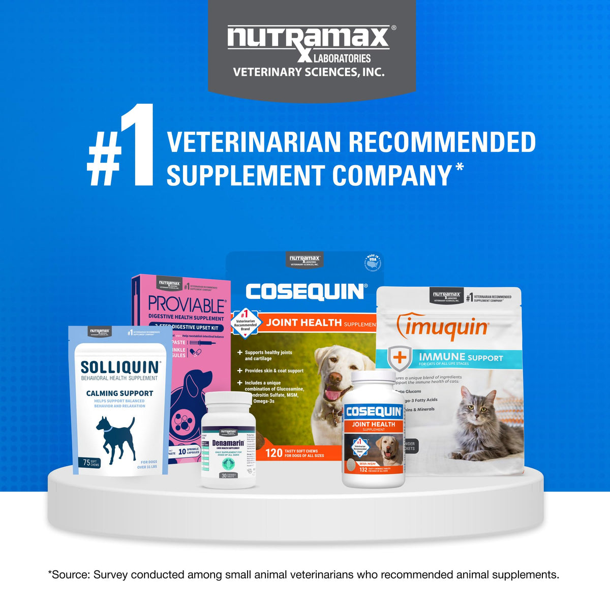 Nutramax Cosequin Joint Health Supplement for Dogs with MSM & HA, 250 Chew Tablets