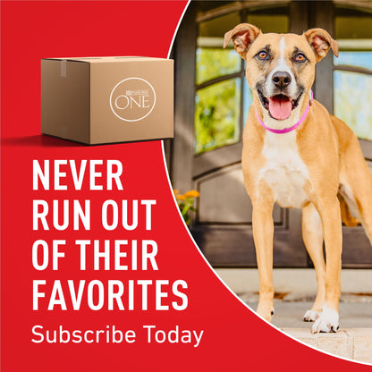 Purina ONE Lamb & Rice Formula Dry Dog Food for Digestive Support