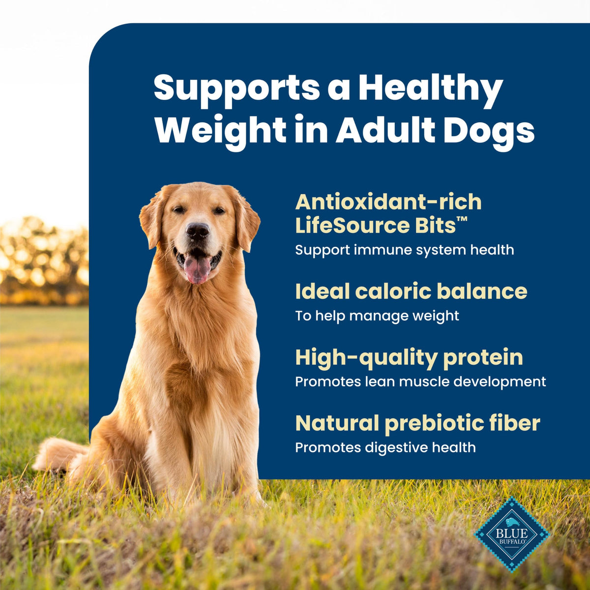 Blue Buffalo Life Protection Adult Dry Dog Food – Chicken & Brown Rice, 5 lb
