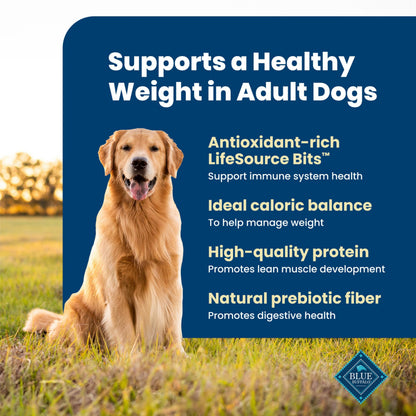 Blue Buffalo Life Protection Adult Dry Dog Food – Chicken & Brown Rice, 5 lb