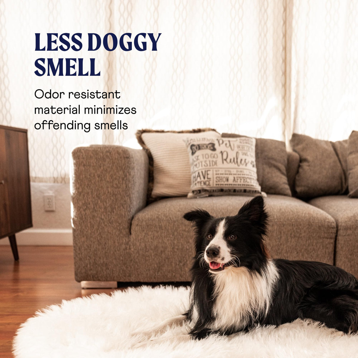 PupRug Orthopedic Dog Bed – lifestyle scene view