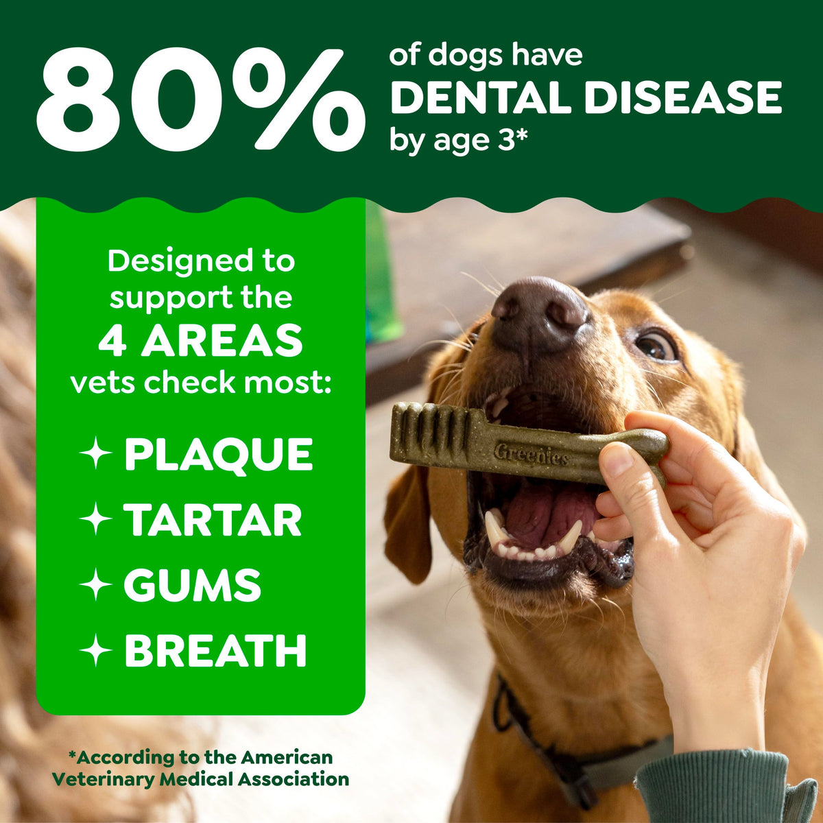 Greenies Teenie Dental Treats Mint – lifestyle close view