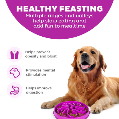 Outward Hound Fun Feeder Slo Bowl – Slow Feeder Dog Bowl, Blue (8.8 in)
