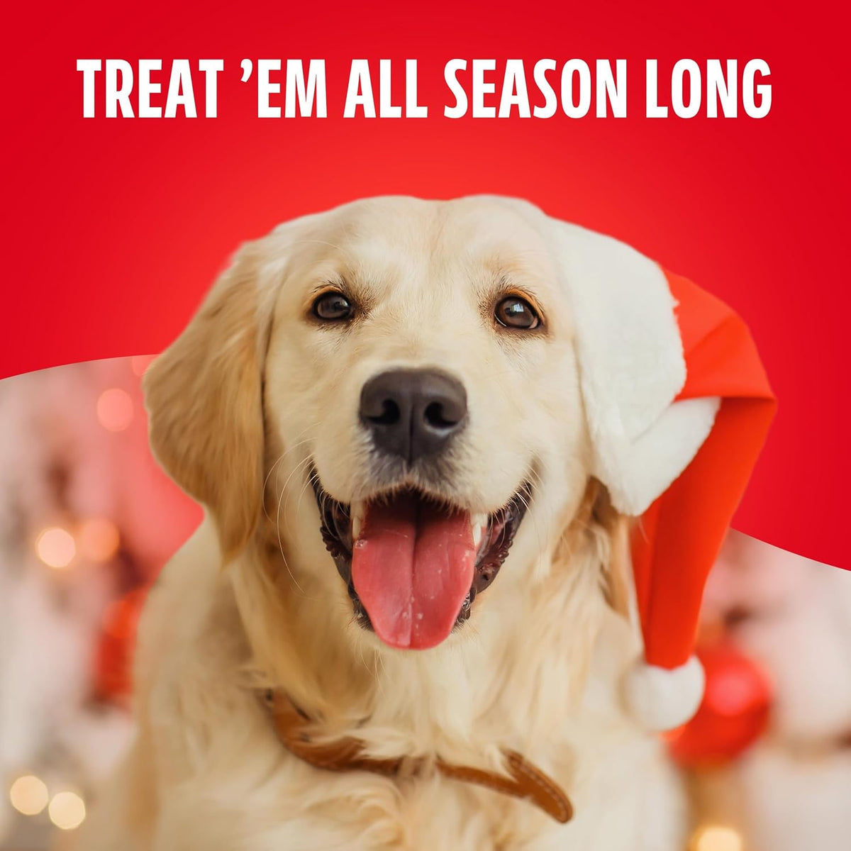 Happy golden retriever wearing a Santa hat: Treat 'em all season long