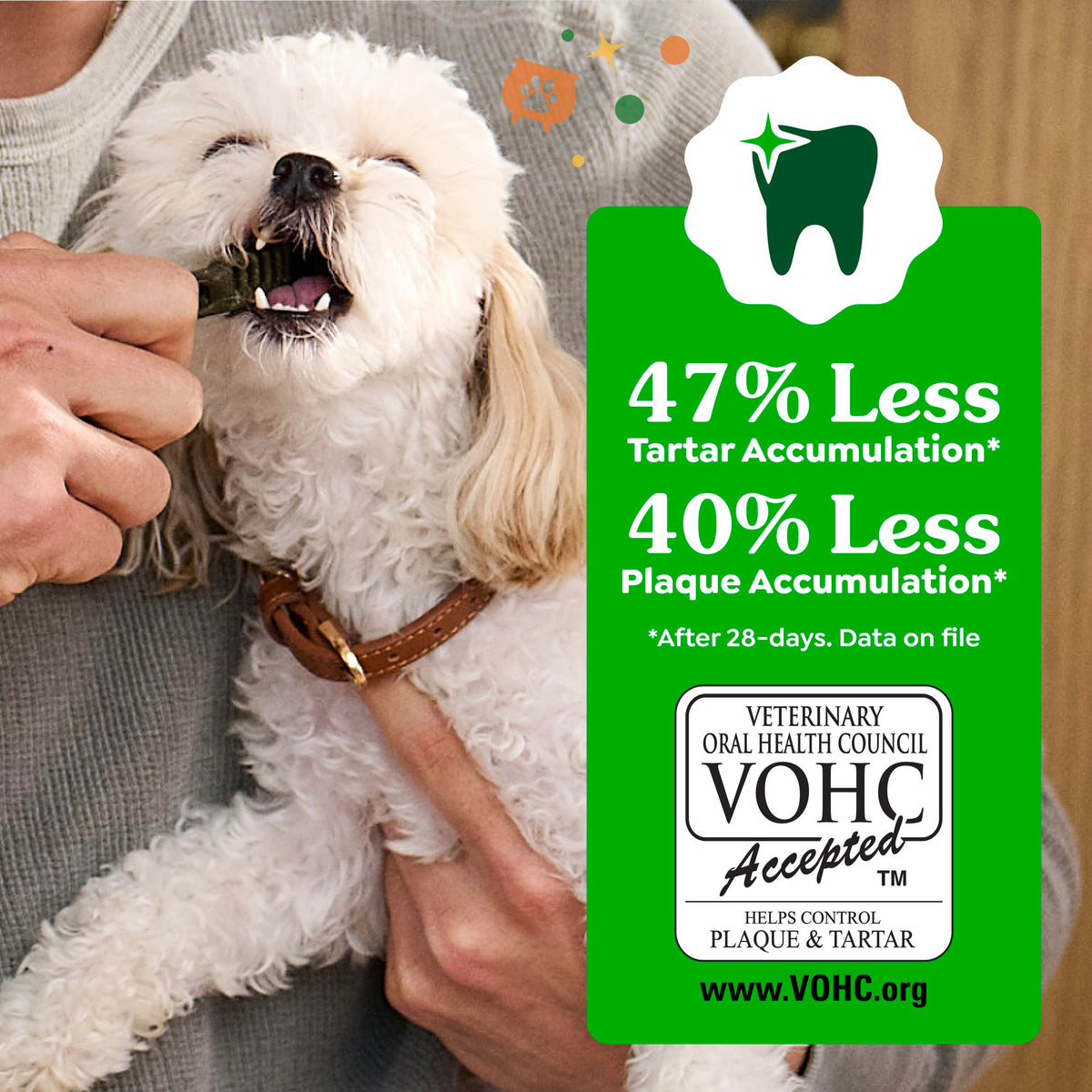 Greenies Teenie Natural Dental Dog Treats – Fresh Mint Flavor, 43 Count