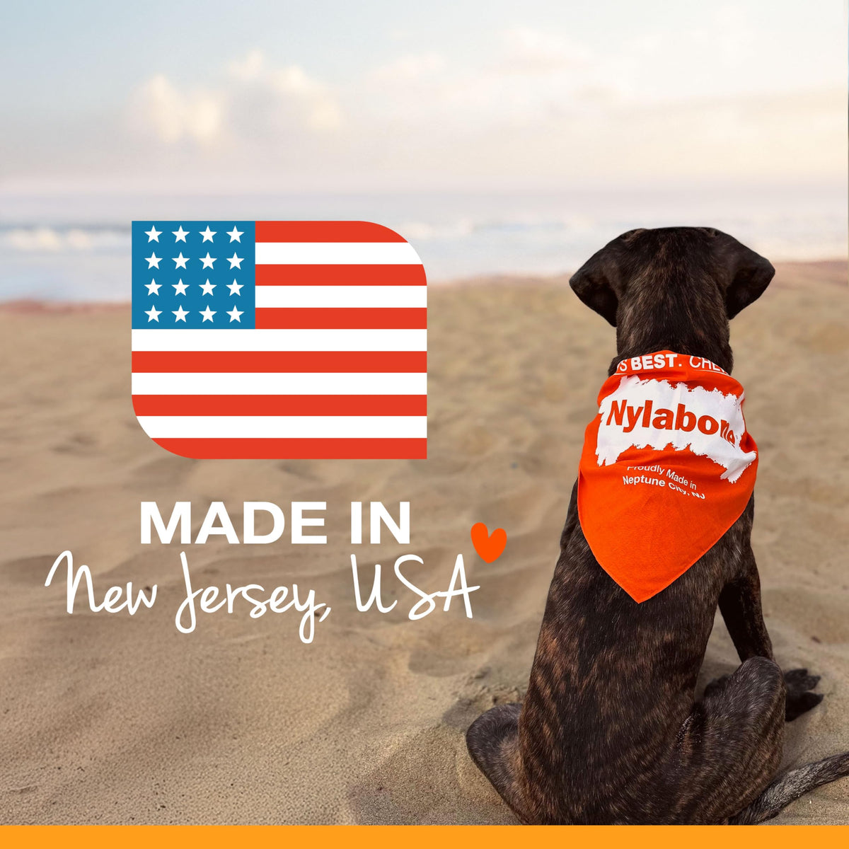 Nylabone Power Chew original bone made in the USA for medium dogs