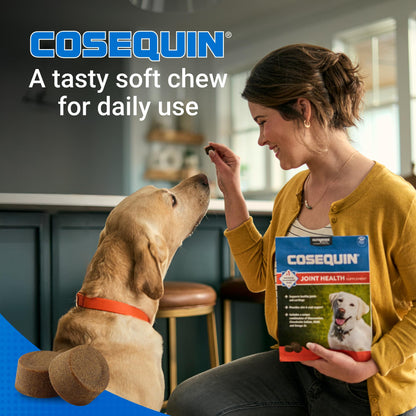 Nutramax Cosequin Soft Chew Supplement for Dogs, 120 Count
