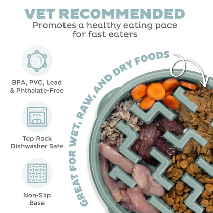 Slow Feeder Dog Bowl Blue – indoor setting view