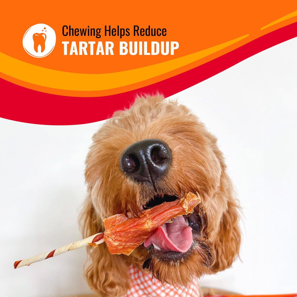 Good 'n' Fun Triple Flavor Kabobs Dog Chews, 24 oz