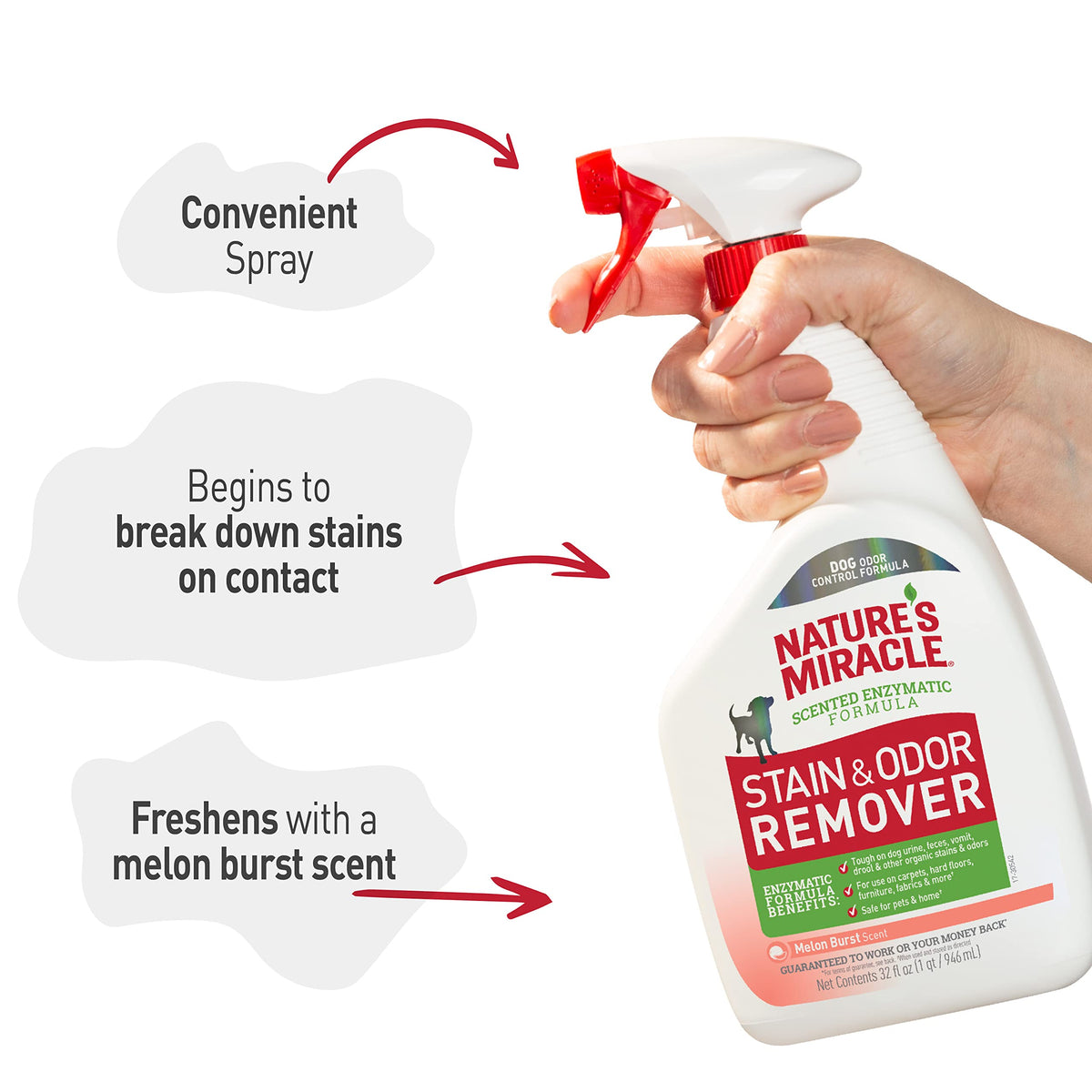 Nature's Miracle stain and odor remover for dogs