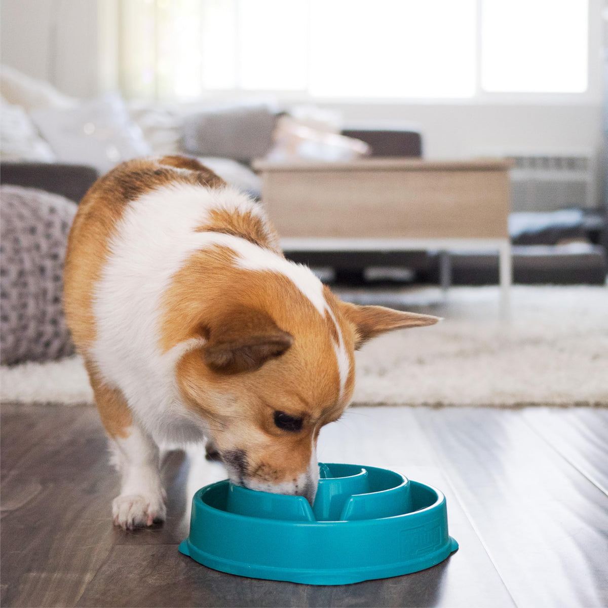 Outward Hound Fun Feeder Slo Bowl – Slow Feeder Dog Bowl, Blue (8.8 in)