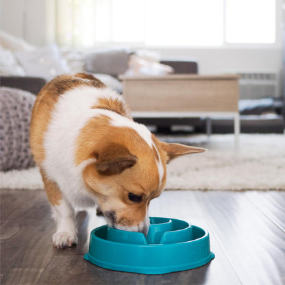 Outward Hound Fun Feeder Slo Bowl – Slow Feeder Dog Bowl, Blue (8.8 in)
