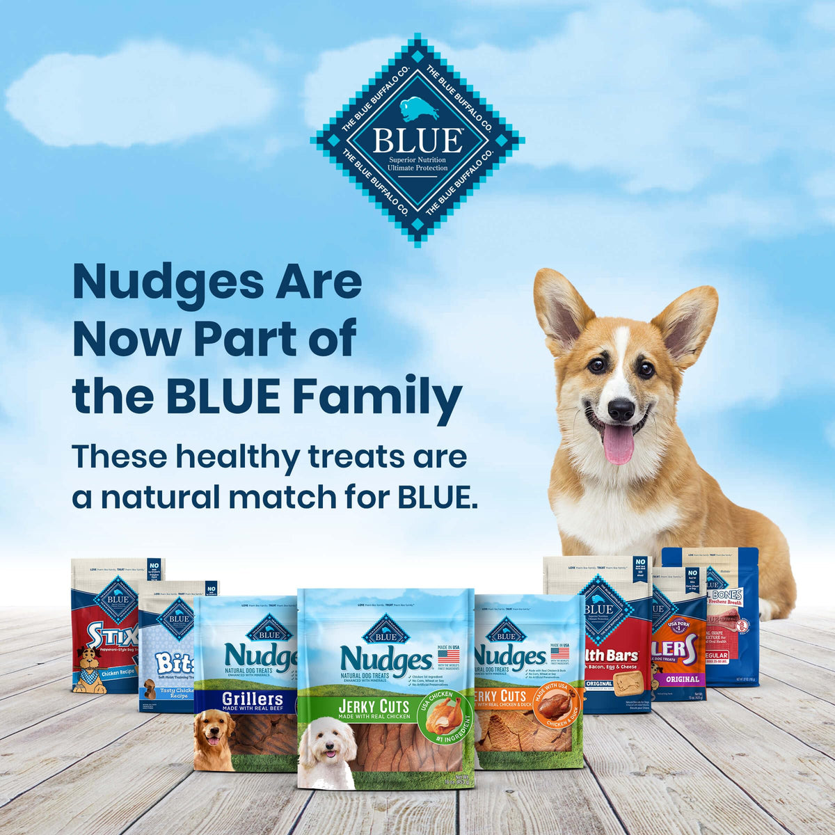 Blue Buffalo Nudges Chicken Jerky Cuts Dog Treats, 16 oz