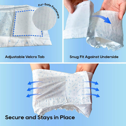 Honey Care All-Absorb Disposable Male Dog Wraps – Belly Bands, 50 Count Small