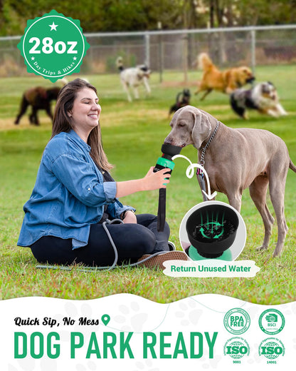 Dog drinking from a lesotc travel water bottle