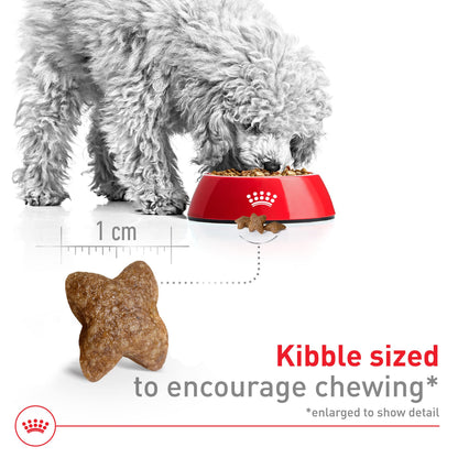 Royal Canin Small Adult Dry Dog Food, 4 lb Bag