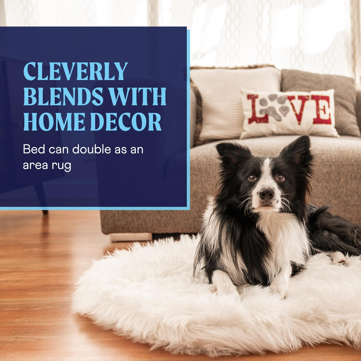 PupRug Orthopedic Dog Bed – package contents view