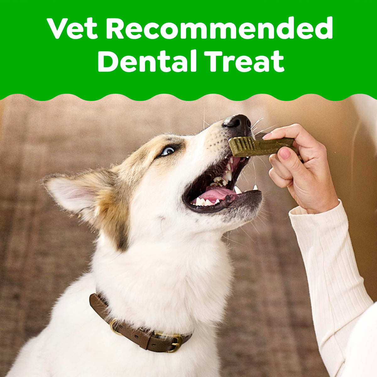 Greenies Teenie Dental Treats Mint – angle detail view