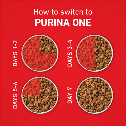 Purina ONE Lamb & Rice Formula Dry Dog Food for Digestive Support