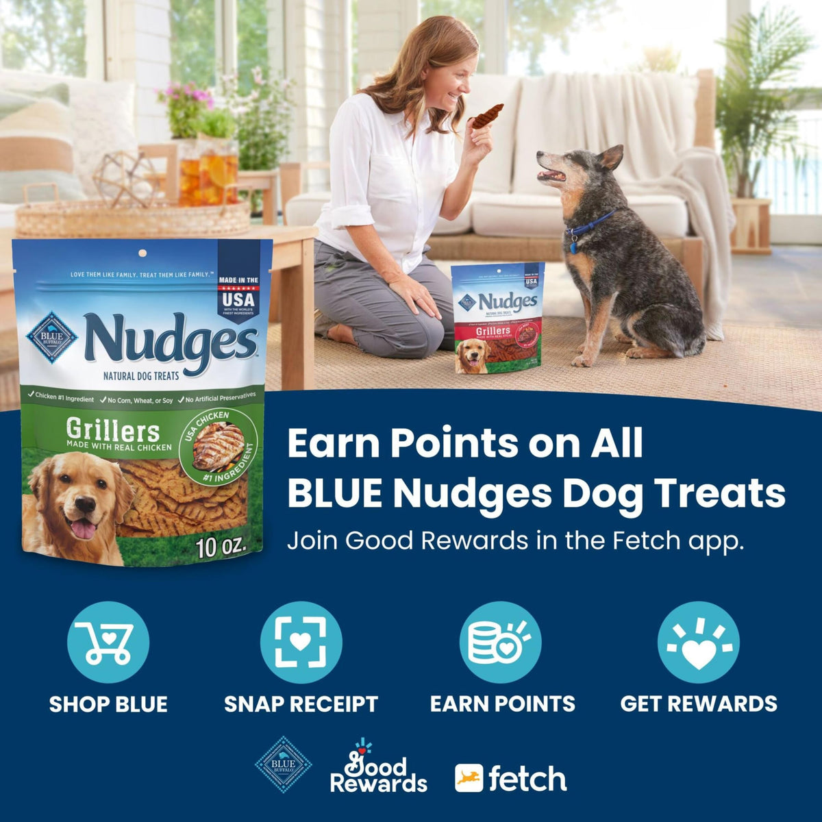Blue Buffalo Nudges Grillers Steak Dog Treats, 16 oz