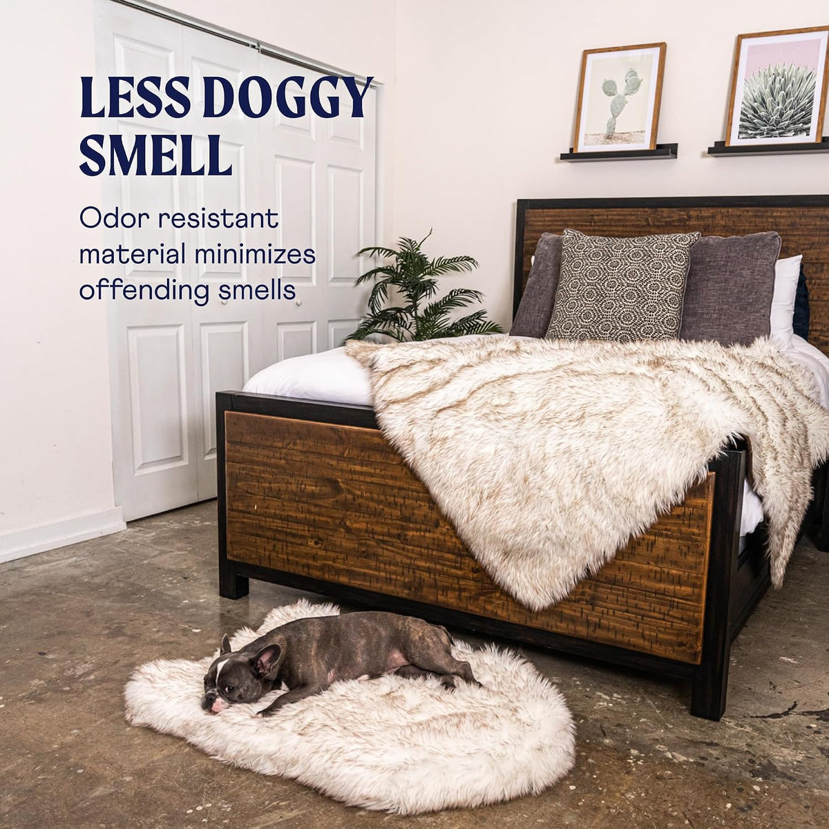 PAW PupRug Orthopedic Memory Foam Dog Bed – White/Brown, 40 x 25 in