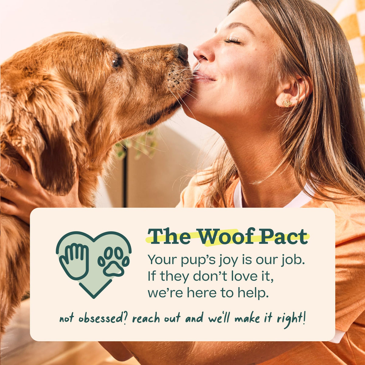 WOOF Pupsicle Refill Pops – Peanut Butter & Beef Treats for Dogs, Large (7 Count)