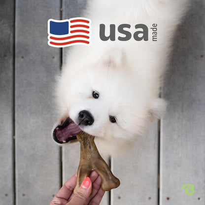 Dog chewing a Benebone Wishbone long-lasting nylon chew toy