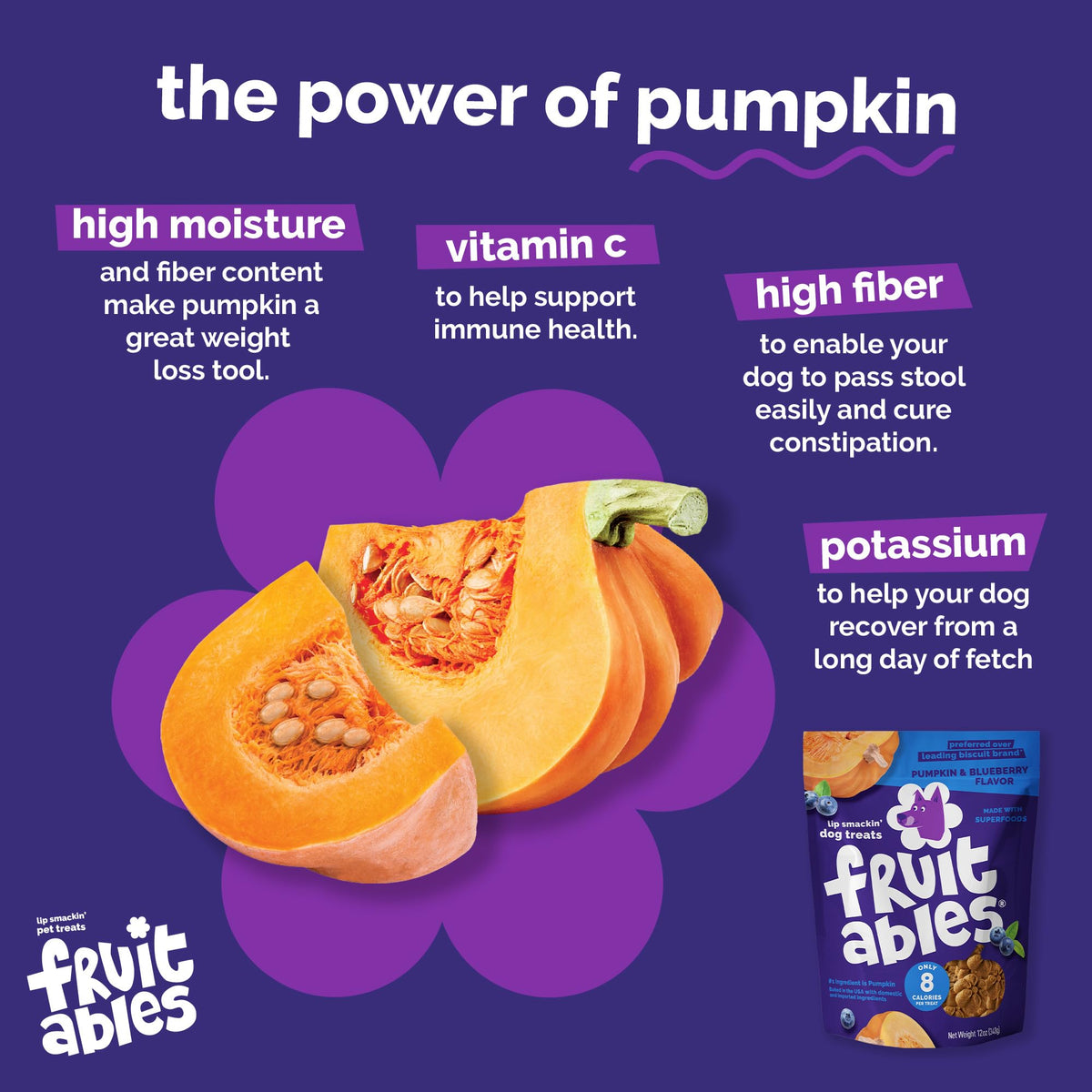 Fruitables Pumpkin & Blueberry Low-Calorie Baked Dog Treats, 12 oz