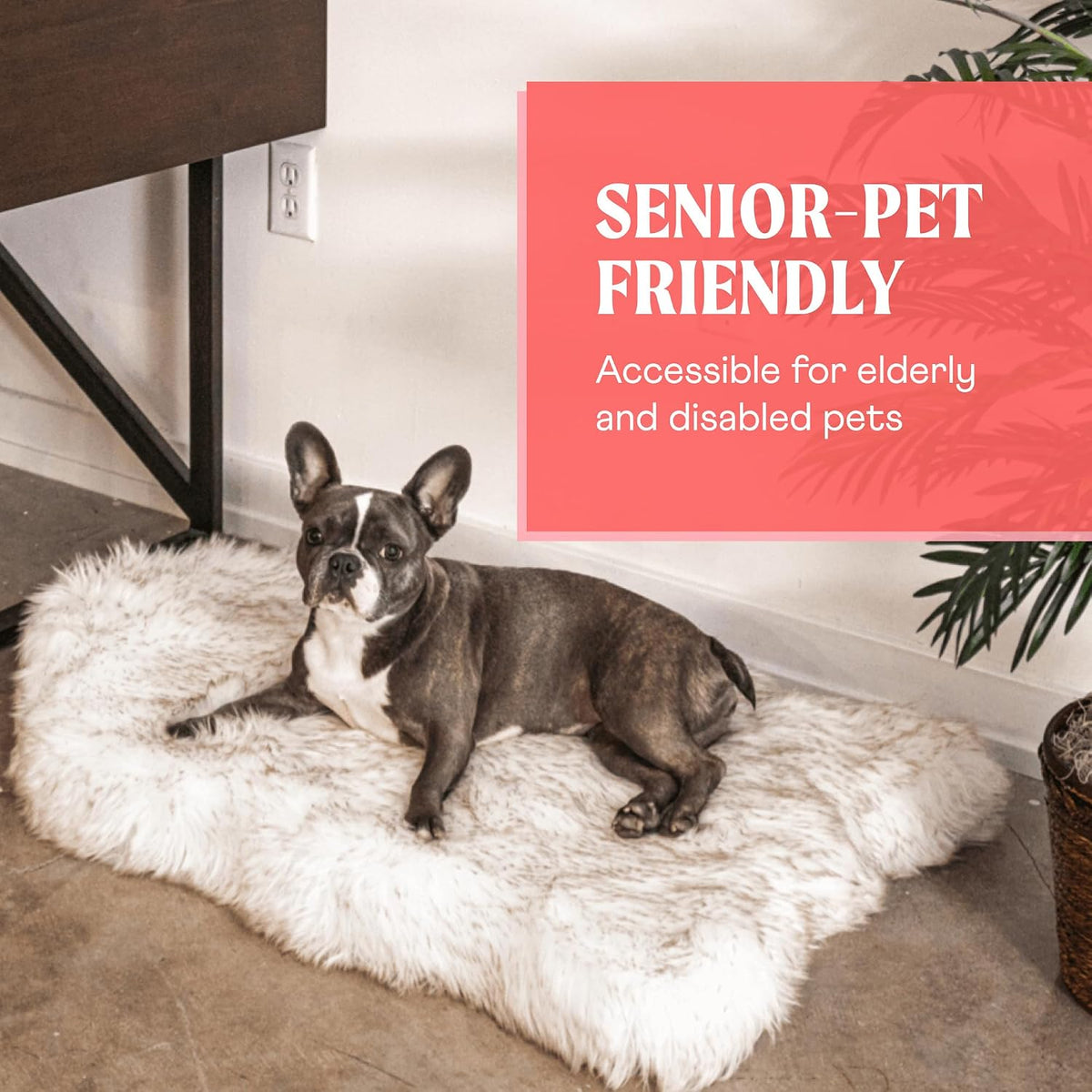 PAW PupRug Orthopedic Memory Foam Dog Bed – White/Brown, 40 x 25 in