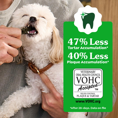 Greenies Teenie Natural Dental Dog Treats – Fresh Mint Flavor, 43 Count