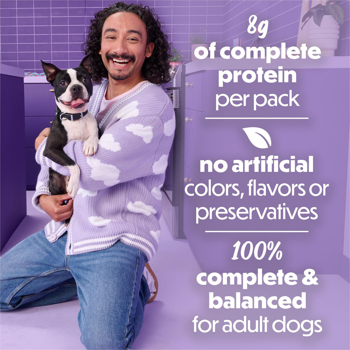 Purina Beneful Kitchen Creations Lamb Wet Dog Food in Sauce, 12 Cans