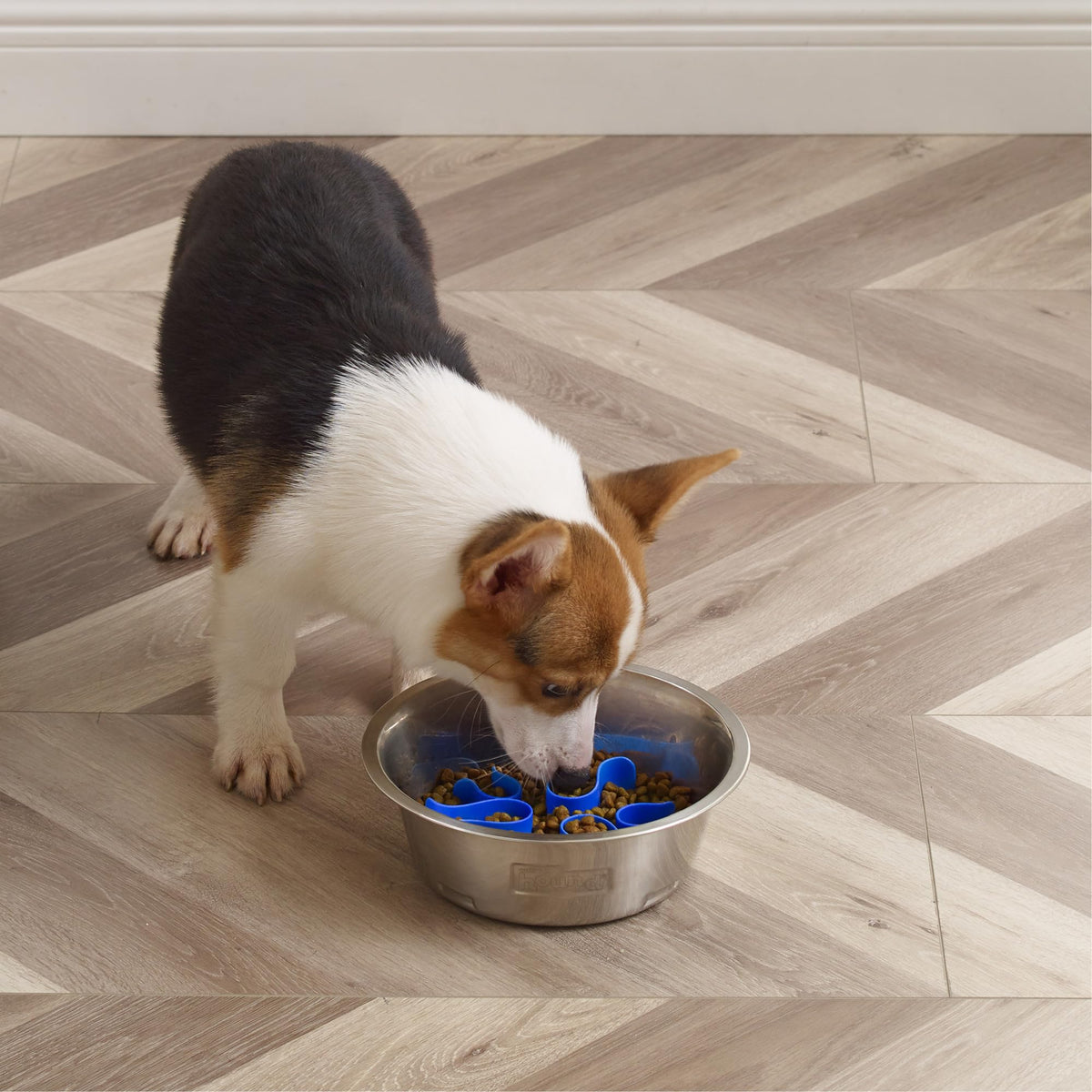 Outward Hound Slo Bowl Slow Feeder – in-use lifestyle view