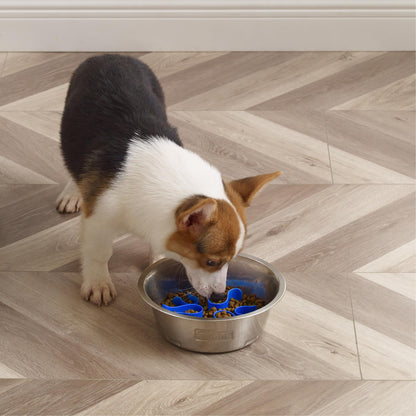 Outward Hound Slo Bowl Slow Feeder – in-use lifestyle view