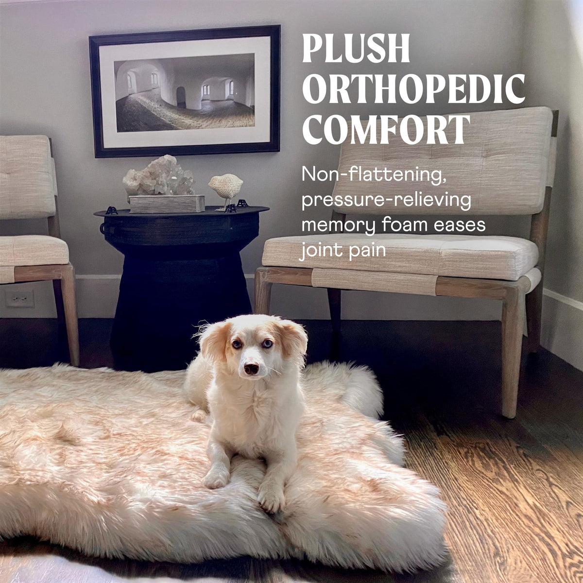 PAW PupRug Orthopedic Memory Foam Dog Bed – White/Brown, 40 x 25 in