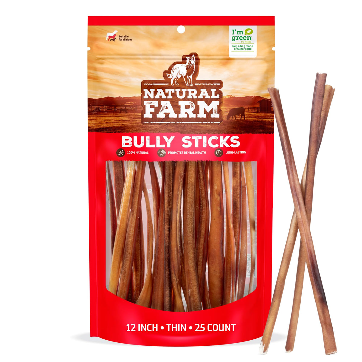 Odor-Free Bully Sticks 6 Inch – indoor setting view