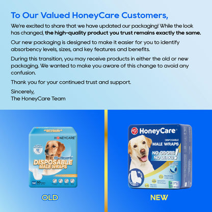Male Dog Wraps Disposable – scale view