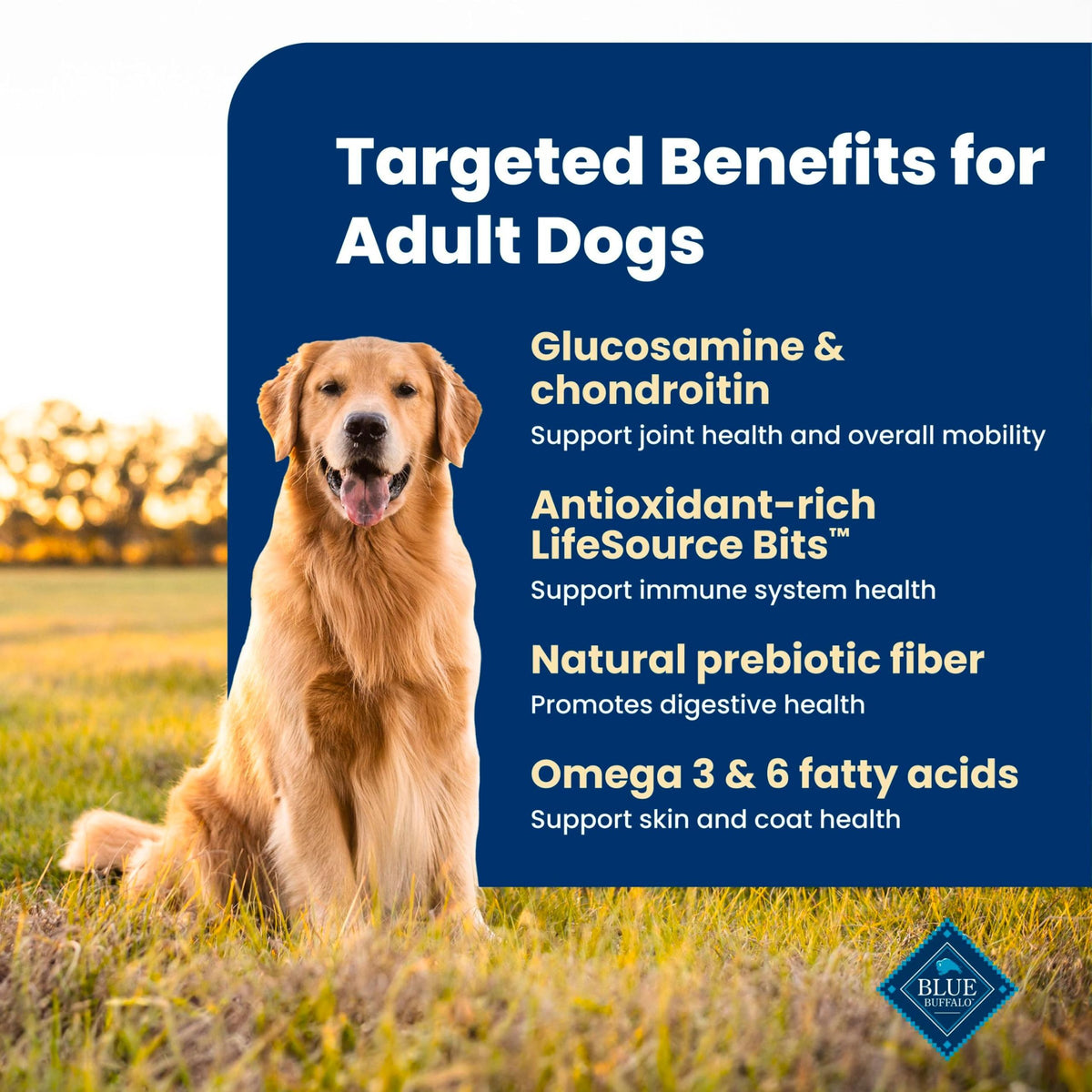 Blue Buffalo Life Protection Adult Dry Dog Food – Chicken & Brown Rice, 5 lb