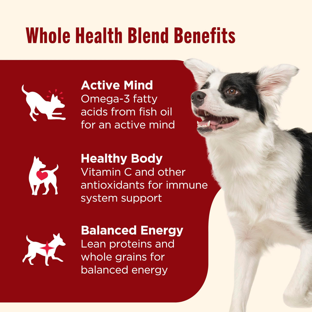 Rachael Ray Nutrish Beef Dog Food – features overview