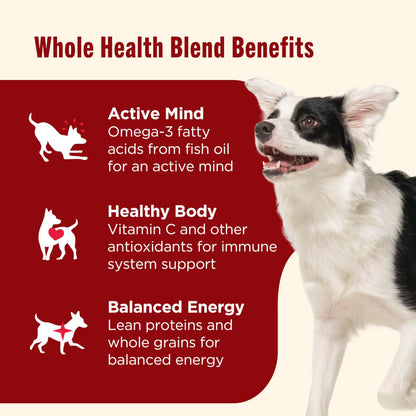 Rachael Ray Nutrish Beef Dog Food – features overview