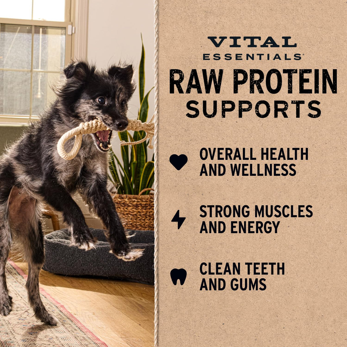 Vital Essentials Freeze-Dried Beef Tripe Nibs Dog Treats, 14 oz