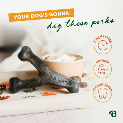 Dog chewing a Benebone Wishbone long-lasting nylon chew toy