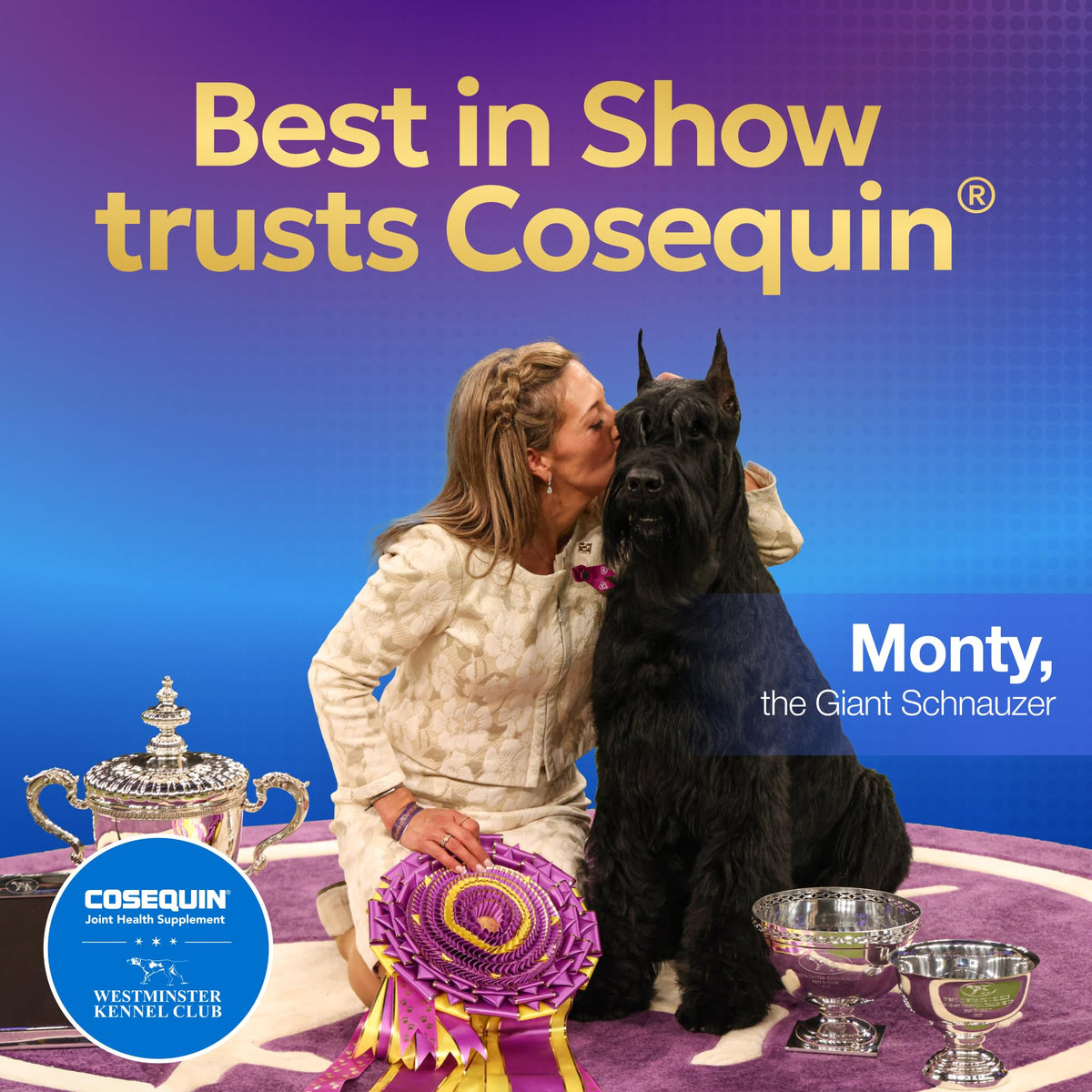 Nutramax Cosequin Joint Health Supplement for Dogs with MSM & HA, 250 Chew Tablets
