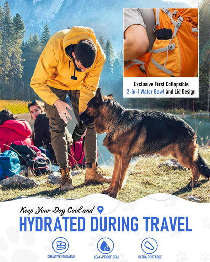 Dog drinking from a lesotc travel water bottle