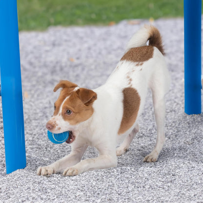 Best Pet Supplies Crinkle Duck Dog Toy – Blue, No Stuffing