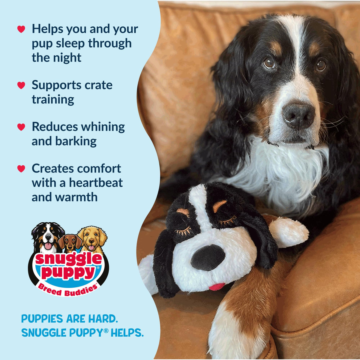 Snuggle Puppy Heartbeat Toy – group view