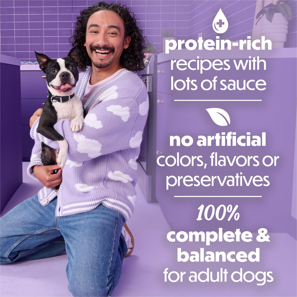 Purina Beneful Kitchen Creations Lamb Wet Dog Food in Sauce, 12 Cans