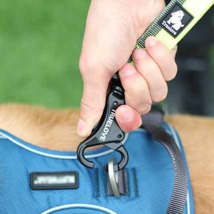 Pet dog leash with elastic cushioning suitable for outdoor activities such as running and waist tying