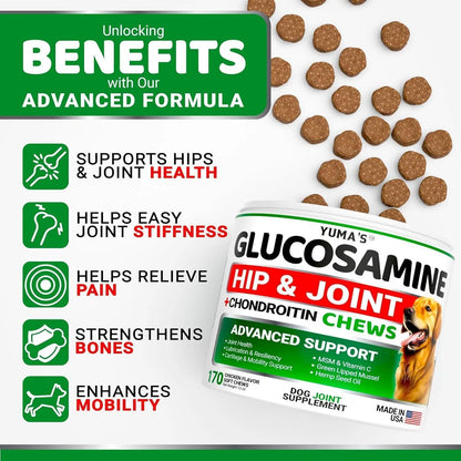 (2 Pack) Glucosamine for Dogs   Made in USA