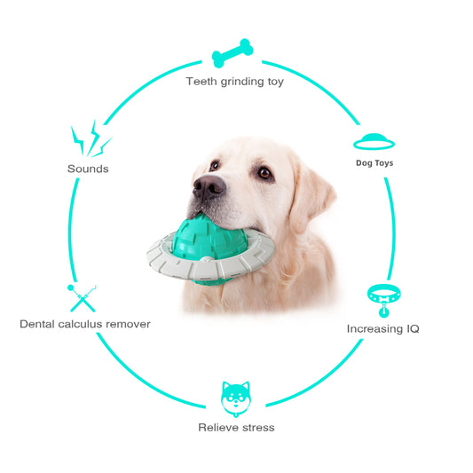 New Popular Pet Products Teddy Bomei Bears and Dog Toys Sounding Interactive Frisbee Grinding Ball