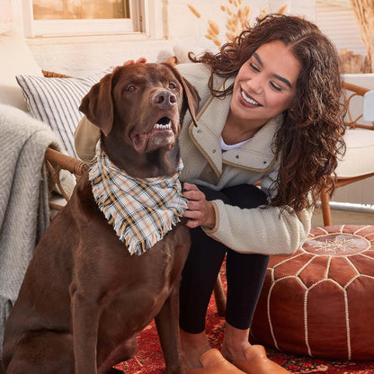 Smiling woman with a chocolate labrador wearing a plaid bandana